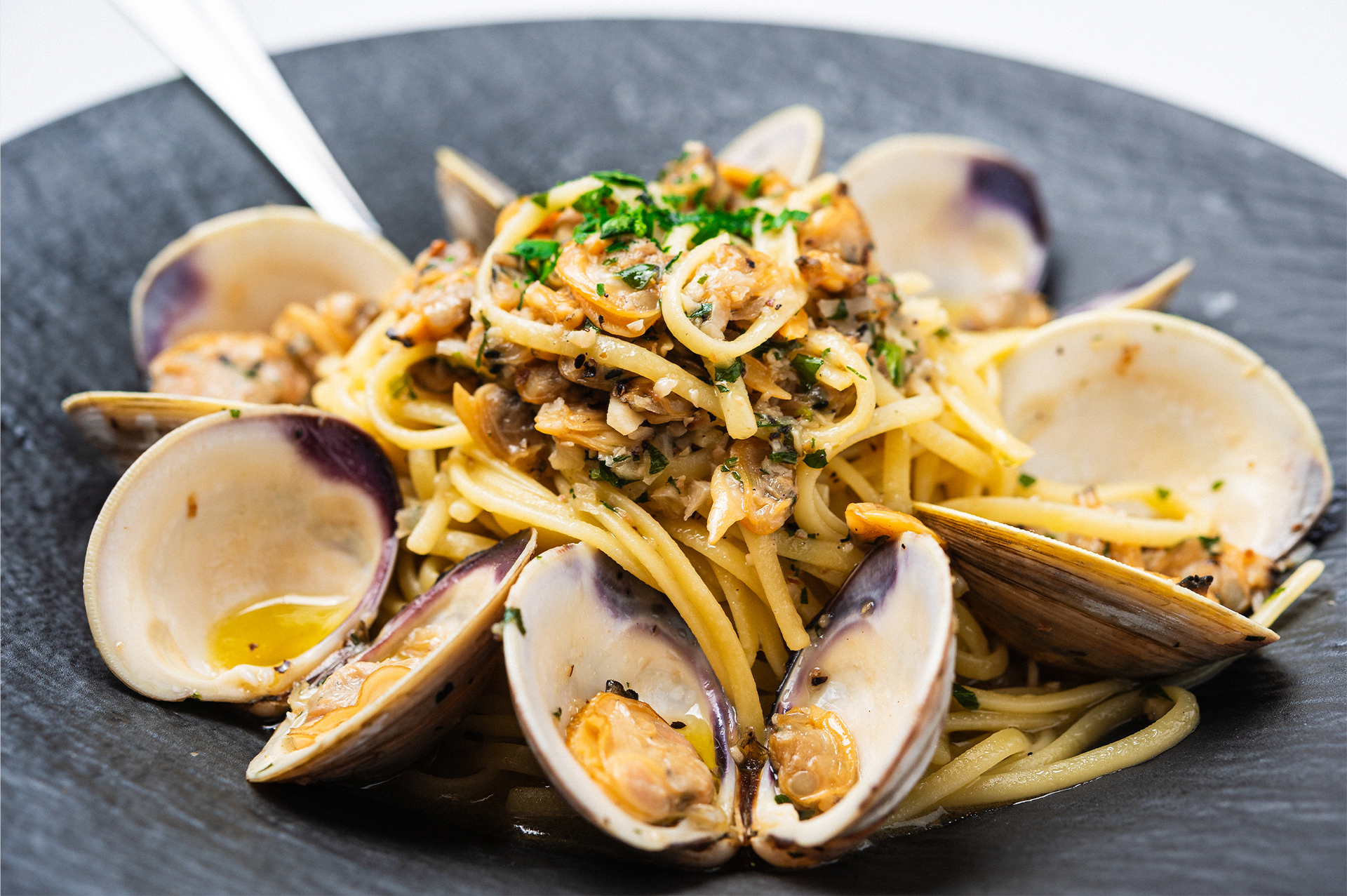 Clams White Sauce